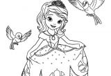 Coloriage Princesse sofia à Imprimer Gratuit 176 Best Princesinha Cecilia Images On Pinterest