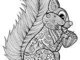 Coloriage Quad à Imprimer Les 199 Meilleures Images De Dessin Colorier