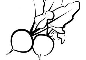 Coloriage Radis Coloriage Legumes Radis Sur Hugolescargot