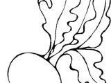 Coloriage Radis Coloriage Radis A Imprimer Dessin Colorier – Fashionzenfo