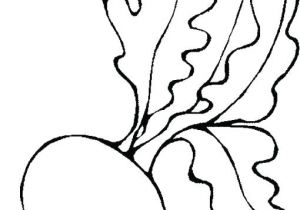 Coloriage Radis Coloriage Radis A Imprimer Dessin Colorier – Fashionzenfo