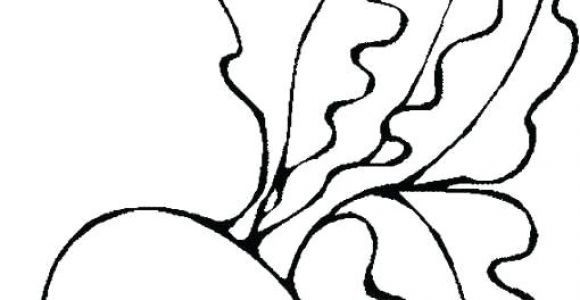 Coloriage Radis Coloriage Radis A Imprimer Dessin Colorier – Fashionzenfo