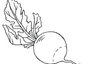 Coloriage Radis Coloriage Radis A Imprimer Duilawyerlosangeles Coloriages Noel Index