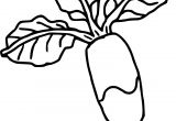 Coloriage Radis Coloriage Radis Dessin   Imprimer Sur Coloriages Fo