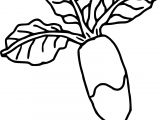 Coloriage Radis Coloriage Radis Dessin   Imprimer Sur Coloriages Fo