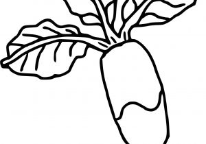 Coloriage Radis Coloriage Radis Dessin   Imprimer Sur Coloriages Fo