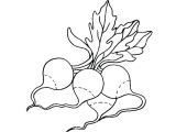 Coloriage Radis Index Coloriage Cuisine Legumes Radis De A Imprimer Radis05