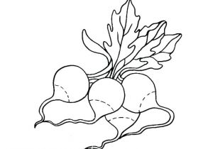 Coloriage Radis Index Coloriage Cuisine Legumes Radis De A Imprimer Radis05