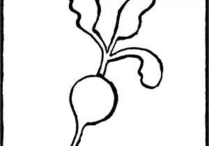 Coloriage Radis Radis Kiddi Kleurprentjes