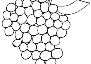Coloriage Raisin à Imprimer Coloriage orange Fruit Az Coloriage