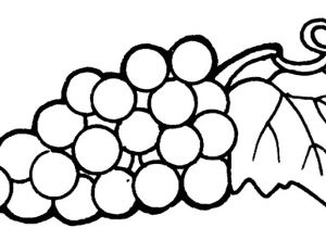 Coloriage Raisin A Imprimer Gratuit Index Of Coloriage Cuisine Fruit