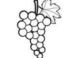 Coloriage Raisin A Imprimer Gratuit Raisin Coloriage
