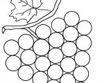 Coloriage Raisin Maternelle Coloriage Grappe De Raisin Dessiné Par Nounoudunord
