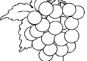 Coloriage Raisin Maternelle Coloriage Grappe De Raisin En Ligne Gratuit   Imprimer