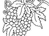 Coloriage Raisin Maternelle Coloriage Raisin En Ligne Gratuit   Imprimer
