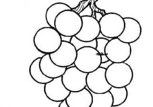 Coloriage Raisin Maternelle Coloriages De Fruits Fruits Legumes D A Coloriage Fruits Automne
