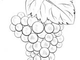 Coloriage Raisin Vigne Coloriage Grappe De Raisin