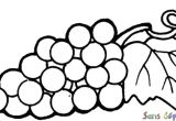 Coloriage Raisin Vigne Coloriage Raisin Et Feuille De Vigne Sans Dépasser