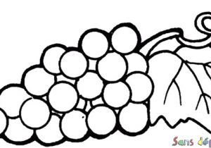 Coloriage Raisin Vigne Coloriage Raisin Et Feuille De Vigne Sans Dépasser