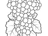 Coloriage Raisin Vigne Coloriage Raisin