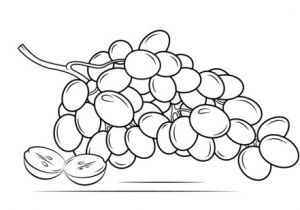 Coloriage Raisin Vigne Coloriage Raisins