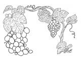 Coloriage Raisin Vigne Coloriage Raisins Sur La Vigne