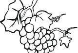 Coloriage Raisin Vigne Dessins De Raisin   Colorier