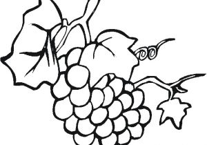 Coloriage Raisin Vigne Dessins De Raisin   Colorier