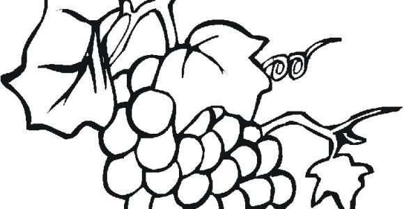 Coloriage Raisin Vigne Dessins De Raisin   Colorier