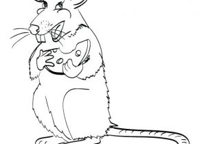 Coloriage Ratus A Dessiner Lion Et Rat Coloriage Ratus – Mobilorszagfo