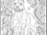 Coloriage Relief 131 Best Coloriage Chien Images On Pinterest
