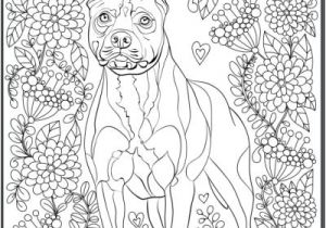 Coloriage Relief 131 Best Coloriage Chien Images On Pinterest