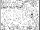 Coloriage Relief 131 Best Coloriage Chien Images On Pinterest