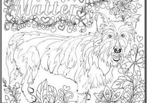 Coloriage Relief 131 Best Coloriage Chien Images On Pinterest