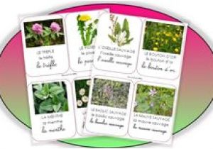 Coloriage Rentrée école Maternelle 49 Meilleures Images Du Tableau Montessori Lecture En 2019