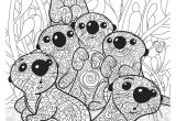 Coloriage Rigolo Pour Adulte Art Thérapie Le Monde De Dory Hachette Heroes