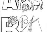 Coloriage Robin Des Bois Dessin Animé Les 71 Meilleures Images Du Tableau Coloriages Sur Pinterest