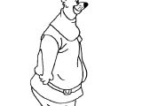 Coloriage Robin Des Bois Tf1 Kids N Fun