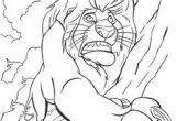 Coloriage Roi Lion à Imprimer 7 Meilleures Images Du Tableau Le Roi Lion