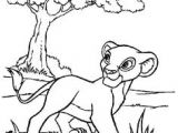 Coloriage Roi Lion à Imprimer 7 Meilleures Images Du Tableau Le Roi Lion