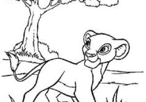 Coloriage Roi Lion à Imprimer 7 Meilleures Images Du Tableau Le Roi Lion