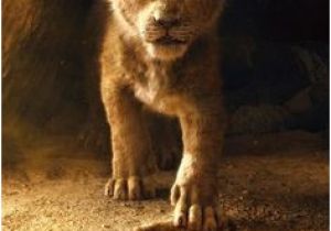 Coloriage Roi Lion En Ligne 14 Meilleures Images Du Tableau Roi Lion Simba