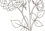Coloriage Rosier Coloriage D Une Rose Coloriage Duun Coquelicot Coloriage Crabe A