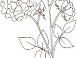 Coloriage Rosier Coloriage D Une Rose Coloriage Duun Coquelicot Coloriage Crabe A