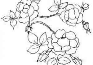 Coloriage Rosier Coloriages Sur Les Fleurs Pour Les Enfants Tªte   Modeler