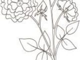 Coloriage Rosier Coloriages Sur Les Fleurs Pour Les Enfants Tªte   Modeler