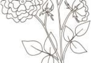 Coloriage Rosier Coloriages Sur Les Fleurs Pour Les Enfants Tªte   Modeler