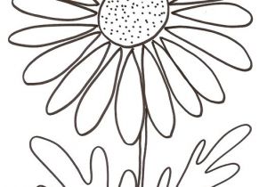 Coloriage Rosier Ment Dessiner Une Marguerite Paintings Pinterest