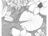 Coloriage Rosier Tuesday Sketching Flowers Design Linedrawing