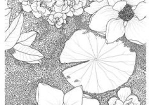 Coloriage Rosier Tuesday Sketching Flowers Design Linedrawing